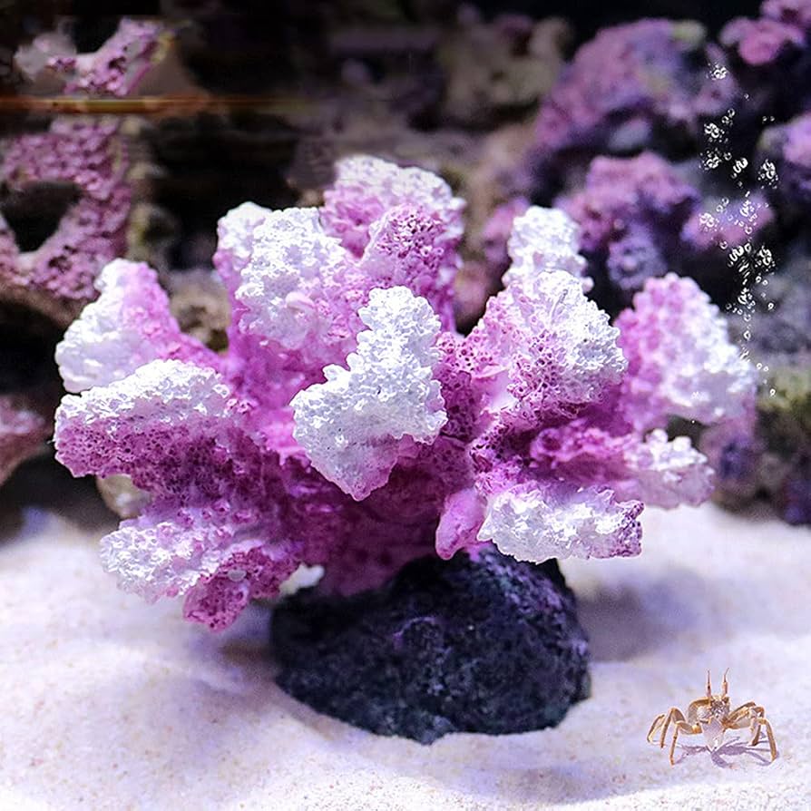 珊瑚置物 サンゴ 置物 原木 天然 桃色 自然 高知県産 21×30 大きな 珊瑚置物